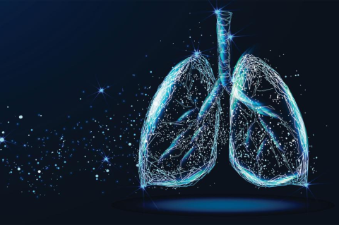 A rendering of healthy human lungs on a blue background. Photo: Shutterstock